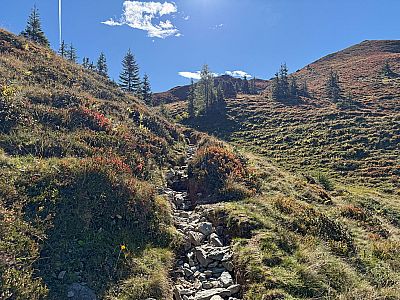 Über einen steinigen Pfad...