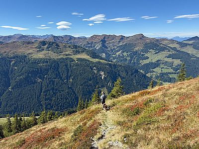 In mehren kurzen Kehren...