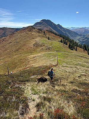 ...wandern wir hinunter zu einem Wiesensattel