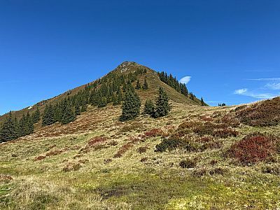 Ein letzter Blick zum Schwarzkogel