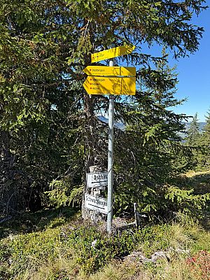 Am Waldrand erreichen wir einen weiteren Wegweiser...
