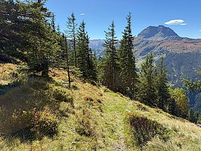 ...und wenden uns nach links