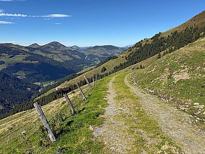 Dort treffen wir auf einen Karrenweg, ...