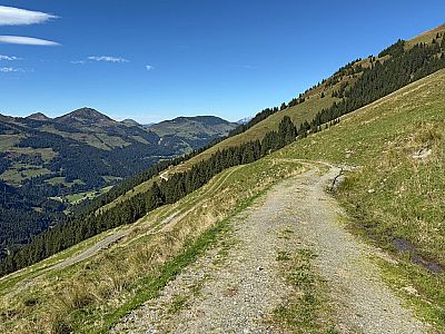 An der Stadlbergalm biegen wir in einen nächsten Karrenweg ein