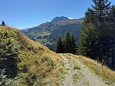 Noch einmal folgen wir dem Karrenweg für ein paar Meter...