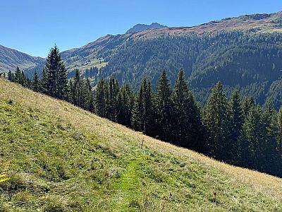...und verlassen diesen endgültig über einen kleinen Pfad