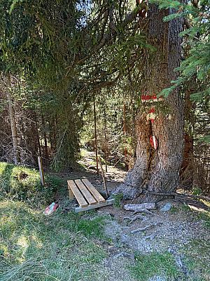 Wir erreichen den Waldrand