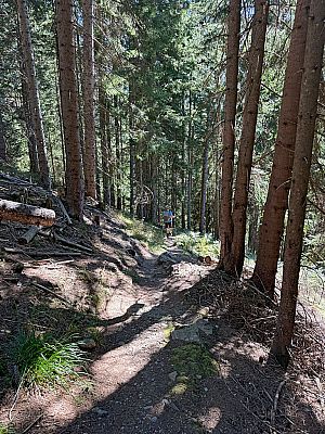 Durch den schattigen Bergwald...