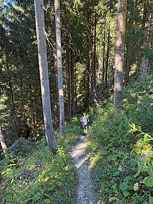 Wir überqueren die Forststraße...