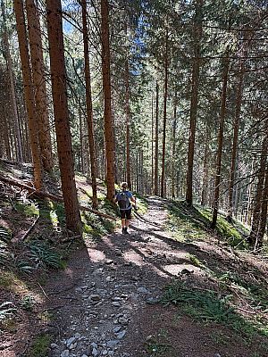 ...und folgen dem Waldpfad weiter bergab