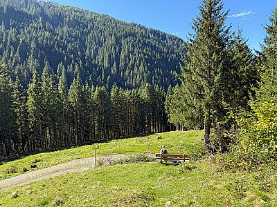 Schließlich treffen wir auf einen nächsten Forstweg...