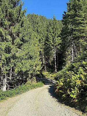 ...und schwenken rechtshaltend in diesen ein