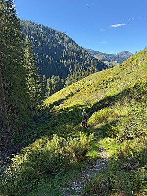...verlassen wir den Fahrweg nach links...