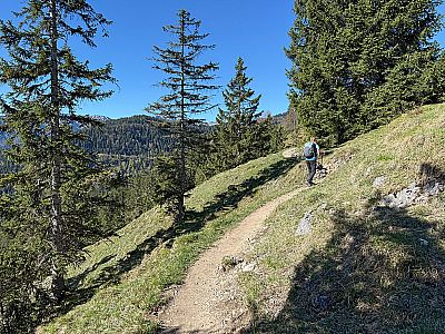 ...verlassen wir den Bergwald...
