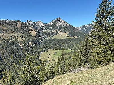 Blick über die Niederhofer Alm auf den Dürrmiesing