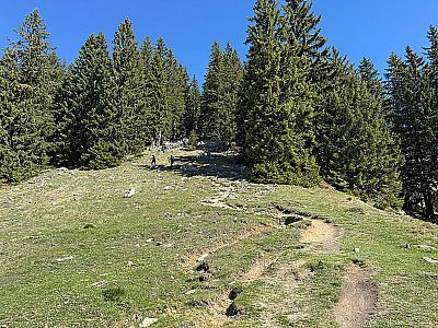 Der Weg wendet sich nach links...