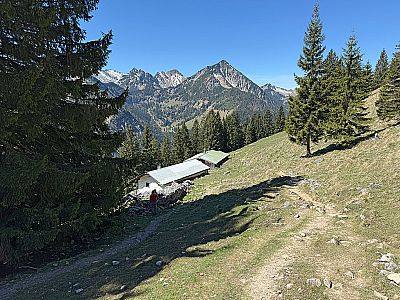 Wir kehren zurück zur Seebergalm...