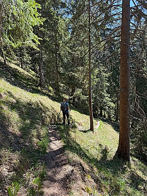 Im Wald wandern wir zügig...
