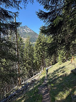 ...in vielen Kehren bergab