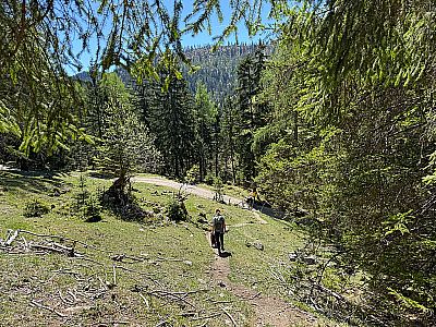 ...und wir treffen auf einen Querweg