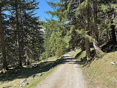 ...und folgen einem Karrenweg leicht bergab