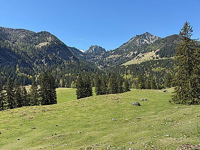 Ruchenköpfe und Dürrmiesing