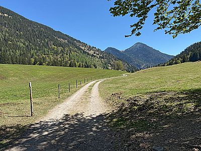 Nach links kommt man nach 5 Minuten zur Niederhofer Alm