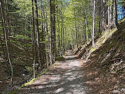 Für den direkten Weg nach Osterhofen biegt man rechts ab