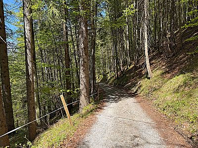 ...leitet uns zügig...
