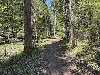 ...führt uns der kleine Weg...
