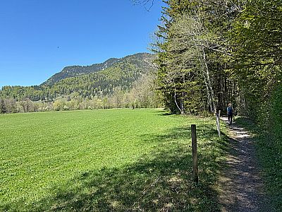 ...und wir streifen eine Weide