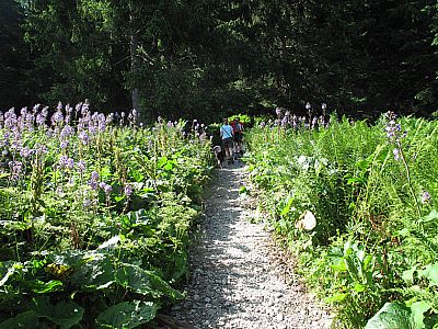 ...und wandern über einen komfortablen Weg...