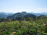 Blick zu Roß- und Buchstein