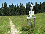 Hier biegen wir links Richtung Hirschbachtal ab