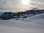 Noch ein Blick zu den Rauhalmen