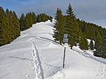 ...und der Sattel zwischen Seekarkreuz und Brandkopf ist erreicht