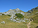 ...und die Hochiss...