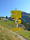 Wir schlagen den Weg Richtung Spieljoch ein...