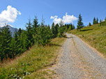 Der Pfad mündet wieder in den Forstweg
