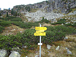 Zurück am Schotterbachboden