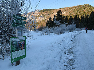 Vom Parkplatz aus starten wir nach Westen auf der breiten Forststraße