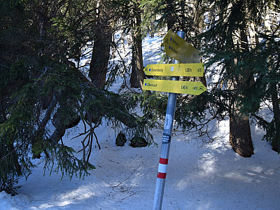 Den Abzweig links nach Wallgau ignorieren wir