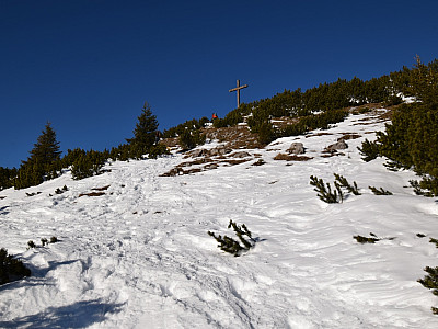 Zwischen den Latschen wird das Gipfelkreuz sichtbar