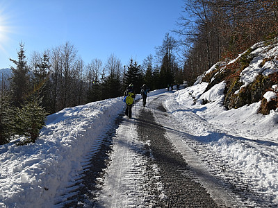 Noch müssen wir ein wenig auf der Forststraße marschieren ...