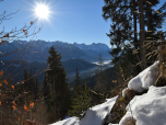 Der Blick auf das Karwendelgebirge wird immer besser