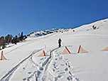 Kurz vor der Alm verlassen wir den Forstweg in westlicher Richtung
