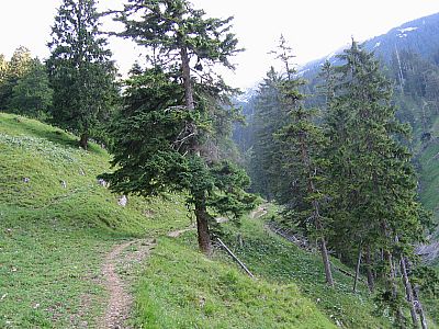 Zügig geht's bergauf...