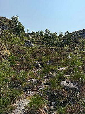 Der Uferweg endet...