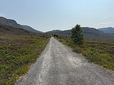 Die Wanderung beginnt mit einem Warmlaufen auf einem breiten Fahrweg