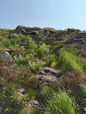 Immer wieder gibt es im Hochtal kurze Anstiege zu bewältigen